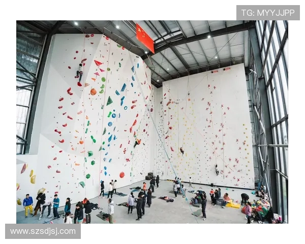 北京攀岩队在攀岩意识排名中创下历史新高引发广泛关注与讨论