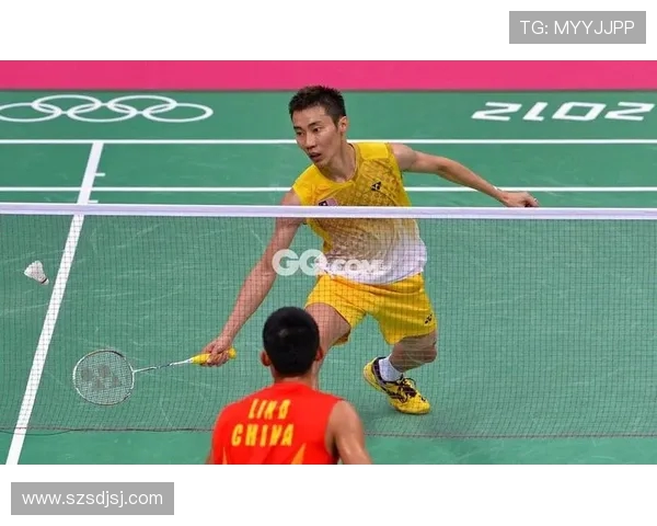 南京羽毛球队与成都羽毛球队赛后技术分析与战术复盘探讨